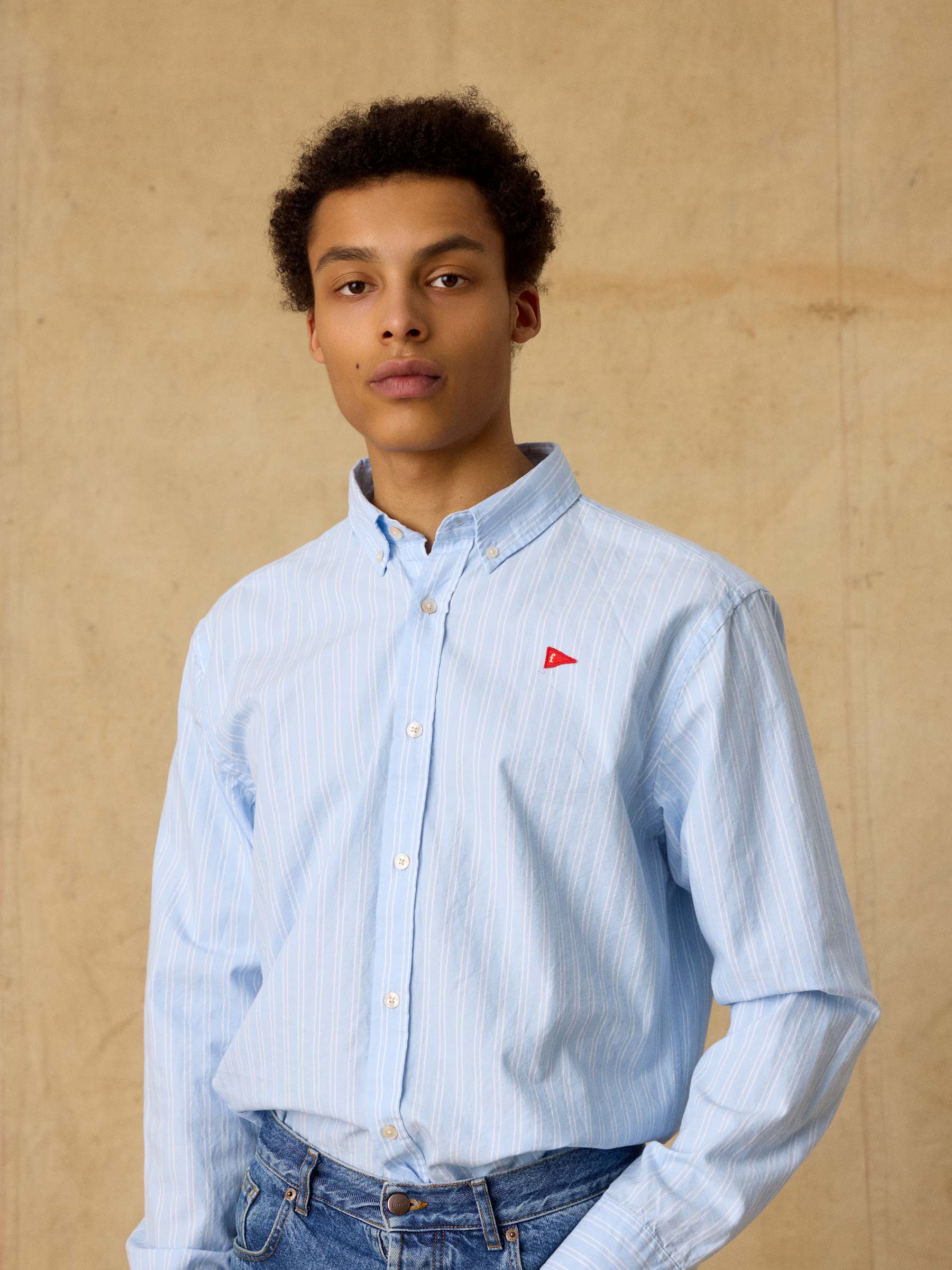 Flag Regular Fit Oxford Shirt - Light Blue Stripe