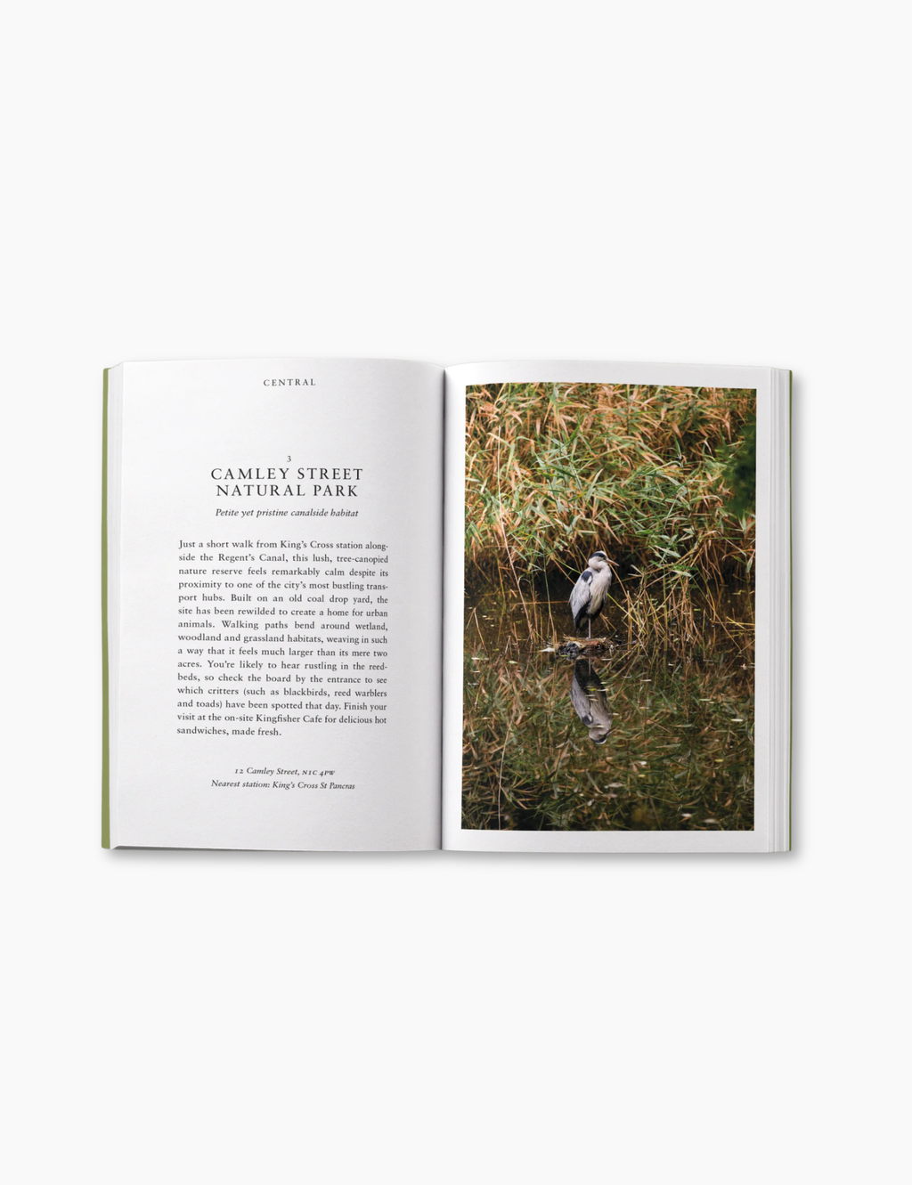 An Opinionated Guide to Wild London
