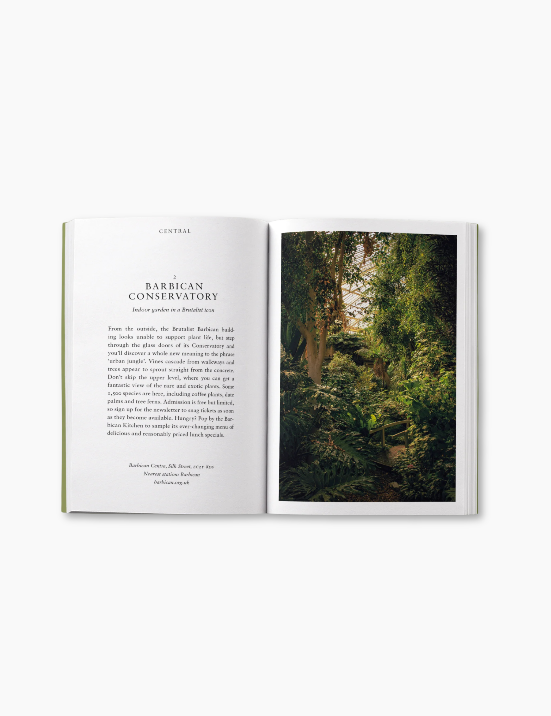 An Opinionated Guide to Wild London