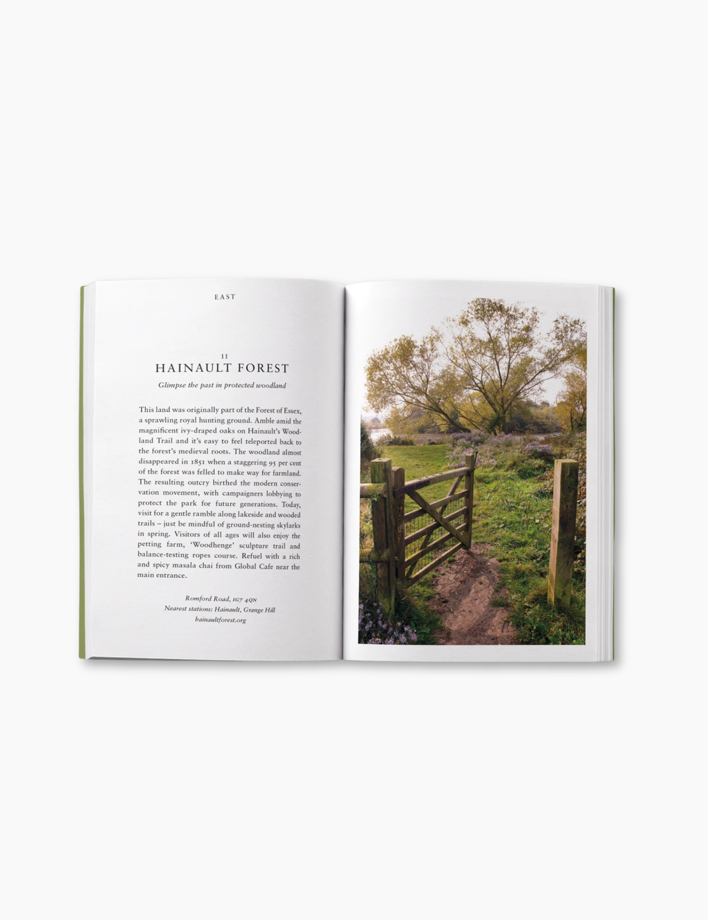 An Opinionated Guide to Wild London