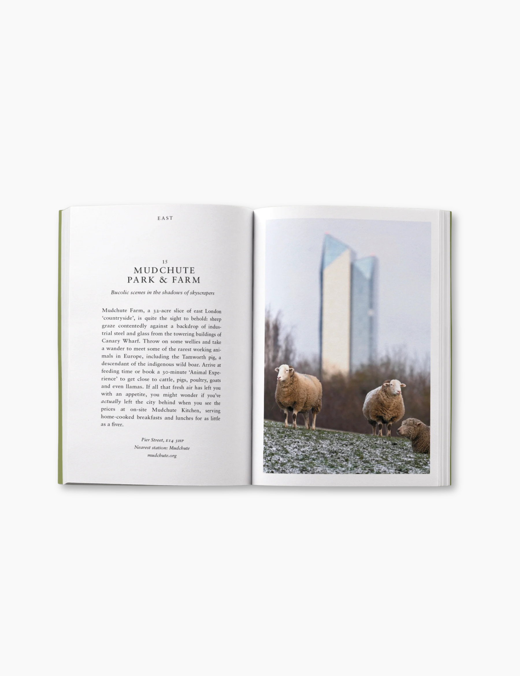 An Opinionated Guide to Wild London