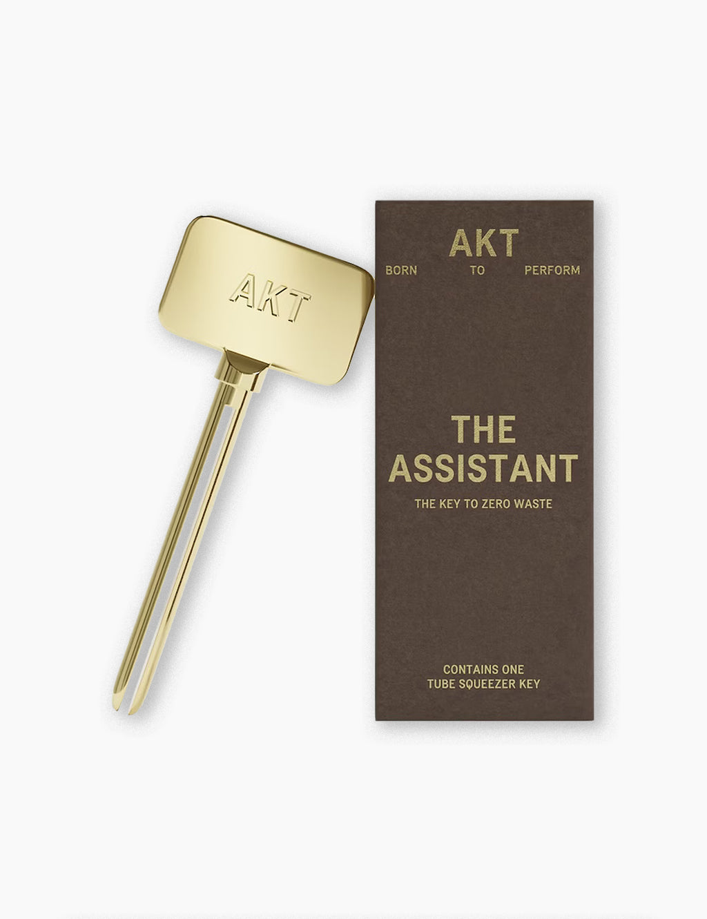 The Assistant