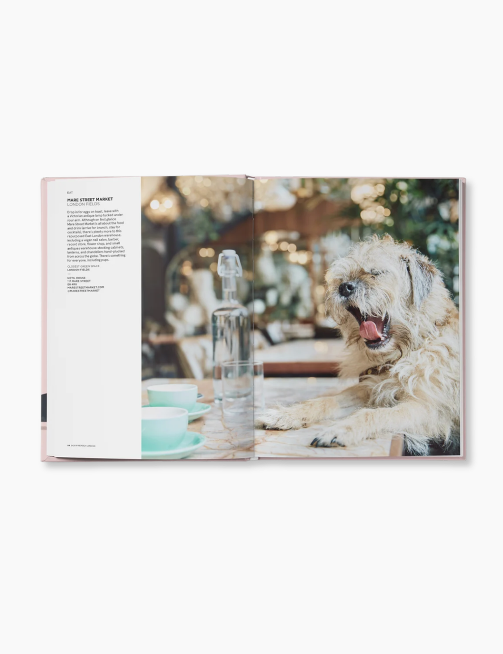 Dog-Friendly London