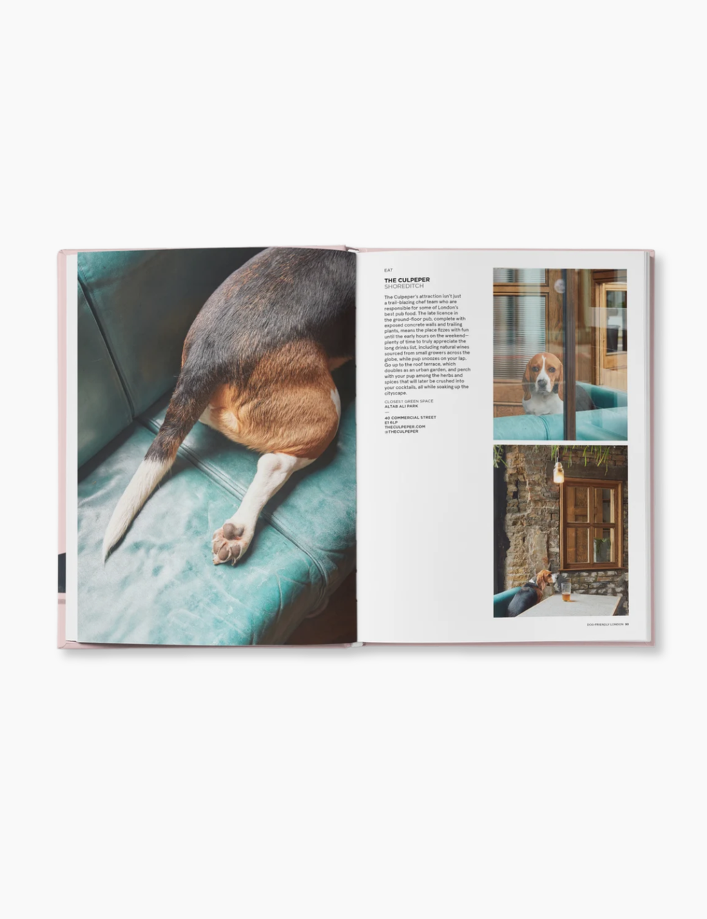 Dog-Friendly London