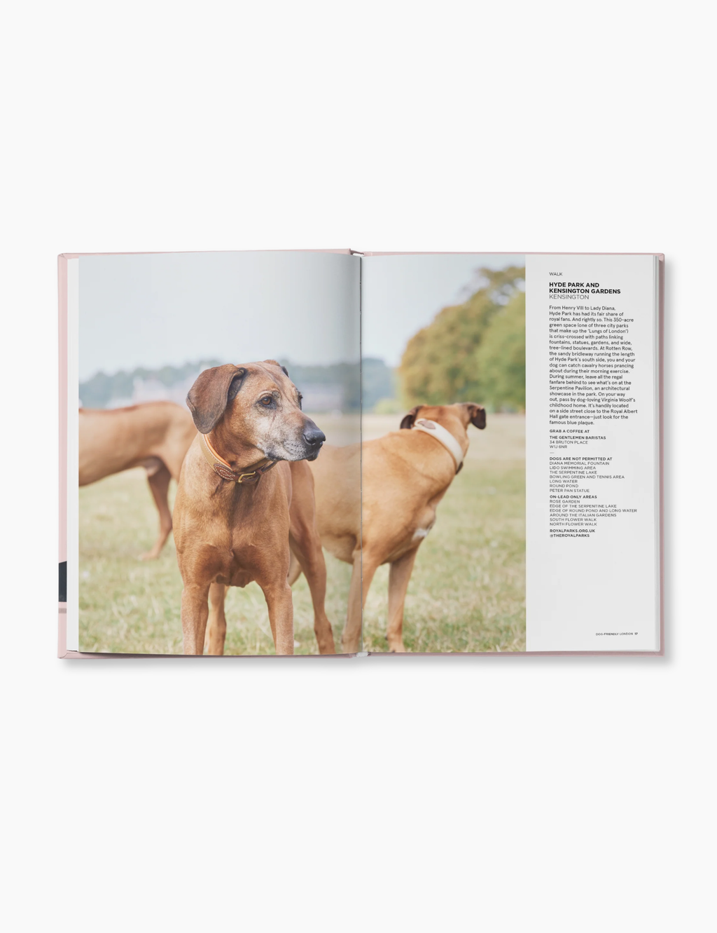 Dog-Friendly London