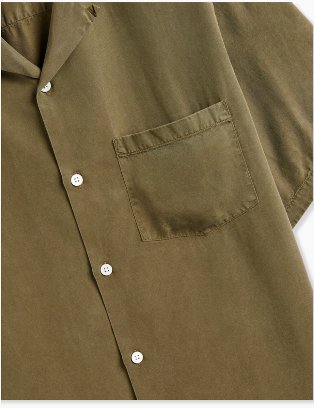 Dogtown Shirt - Olive