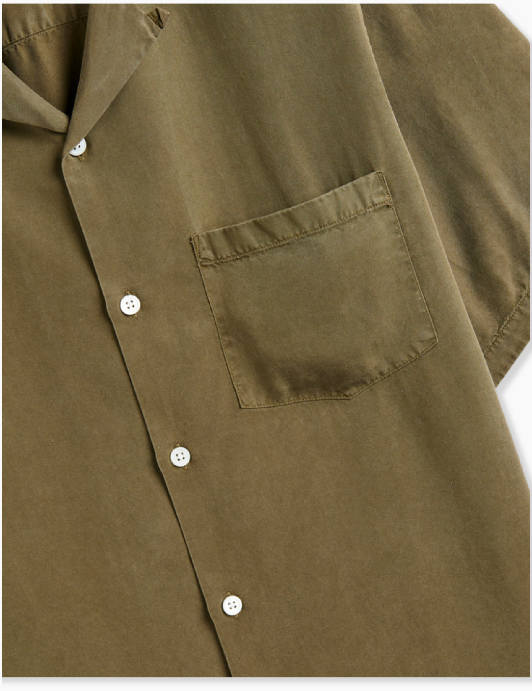 Dogtown Shirt - Olive