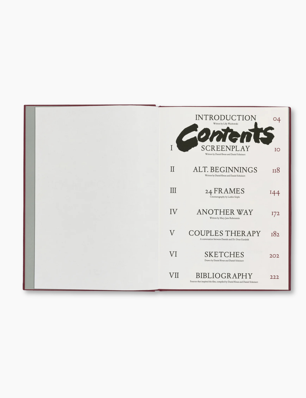 Everything Everywhere All at Once Screenplay Book