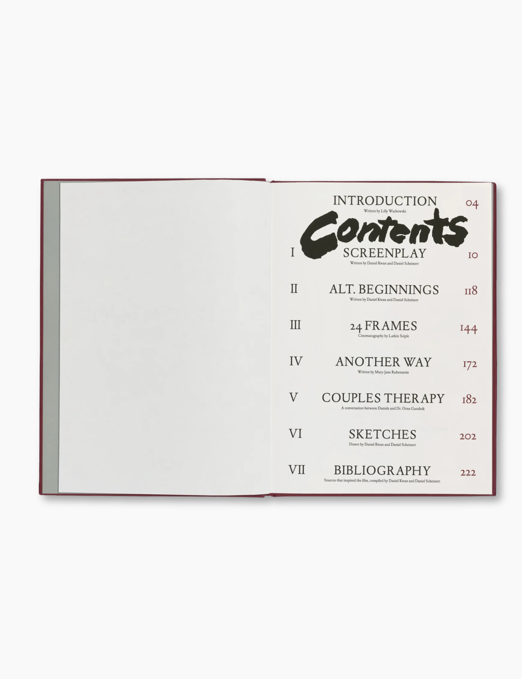 Everything Everywhere All at Once Screenplay Book