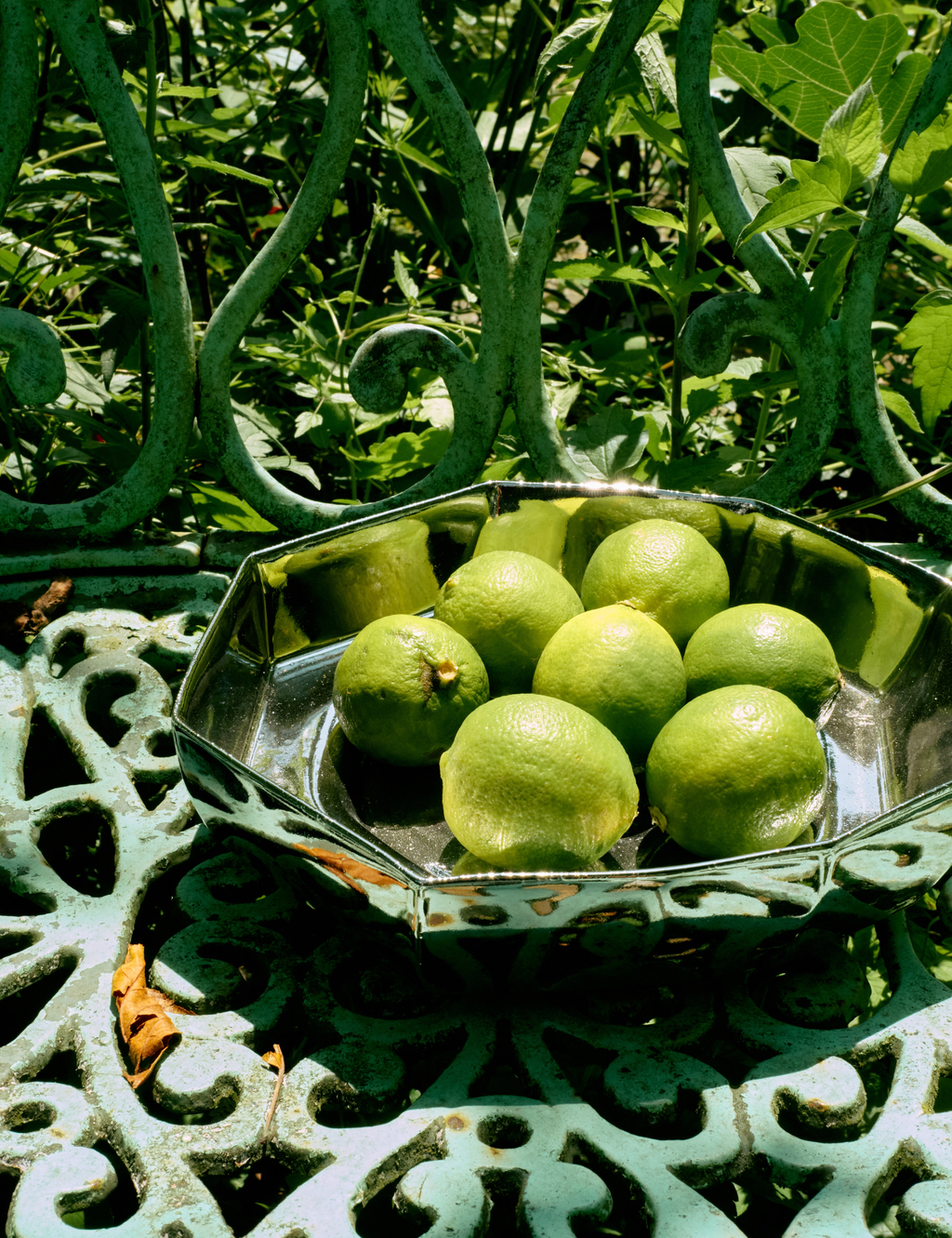 Chrome Bowl - Large