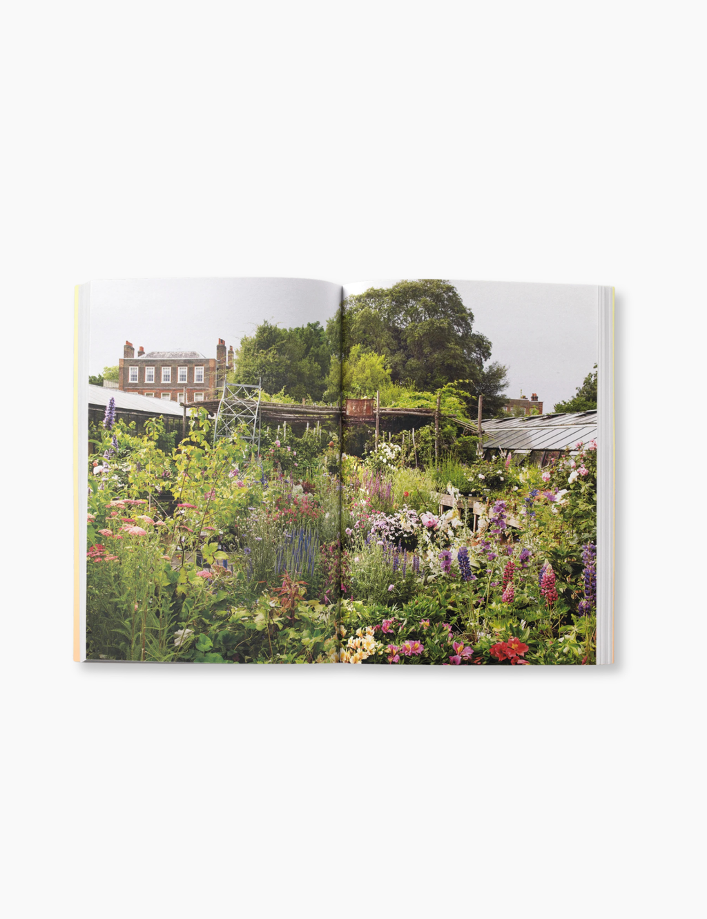 An Opinionated Guide to London Sundays