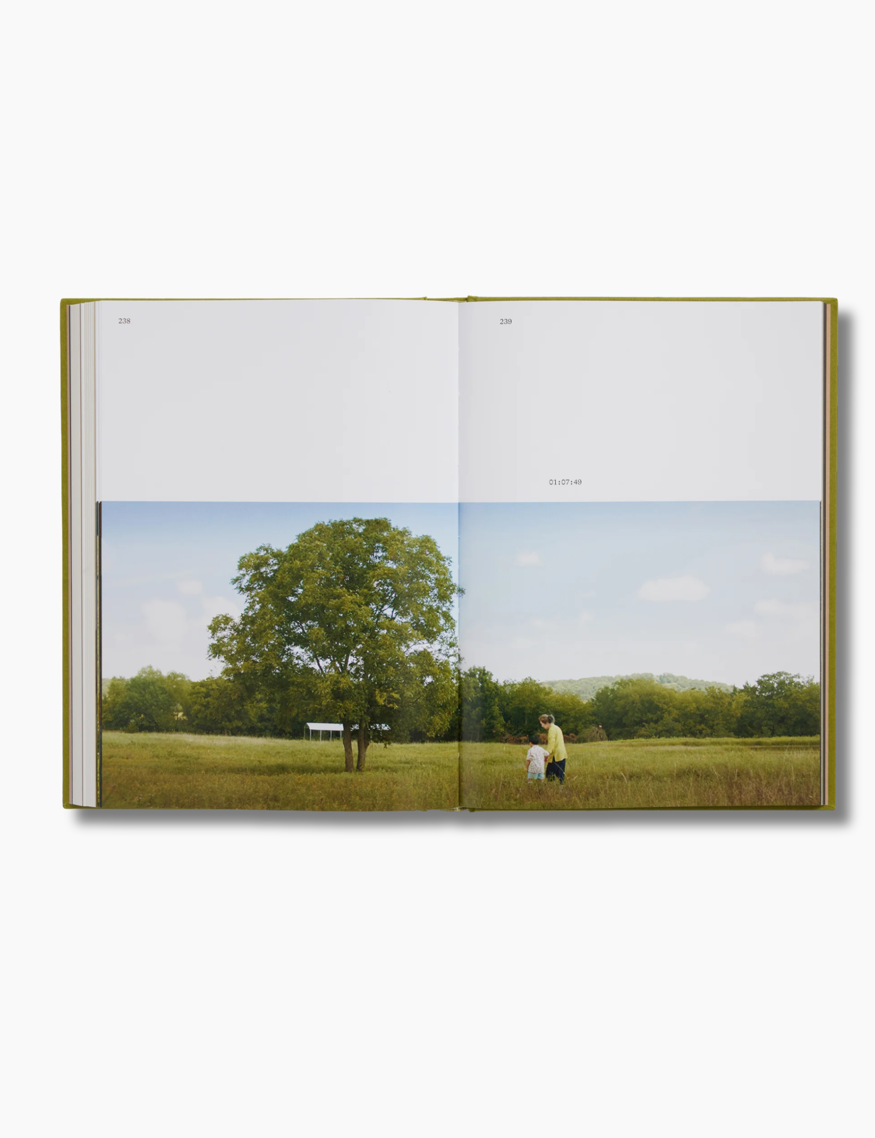 Minari Screenplay Book