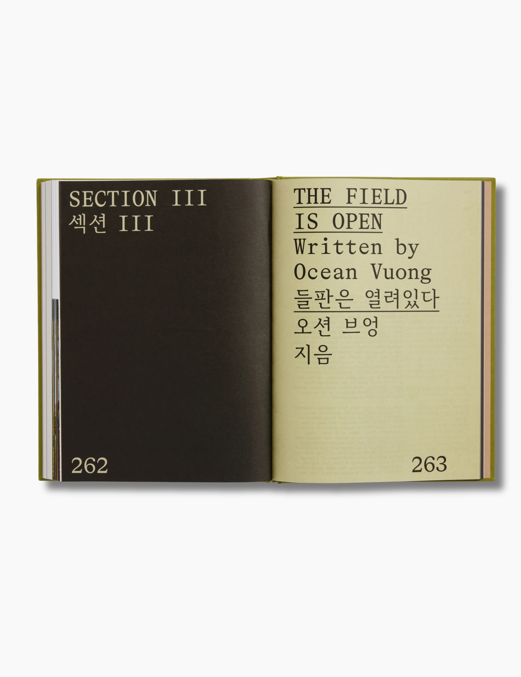 Minari Screenplay Book