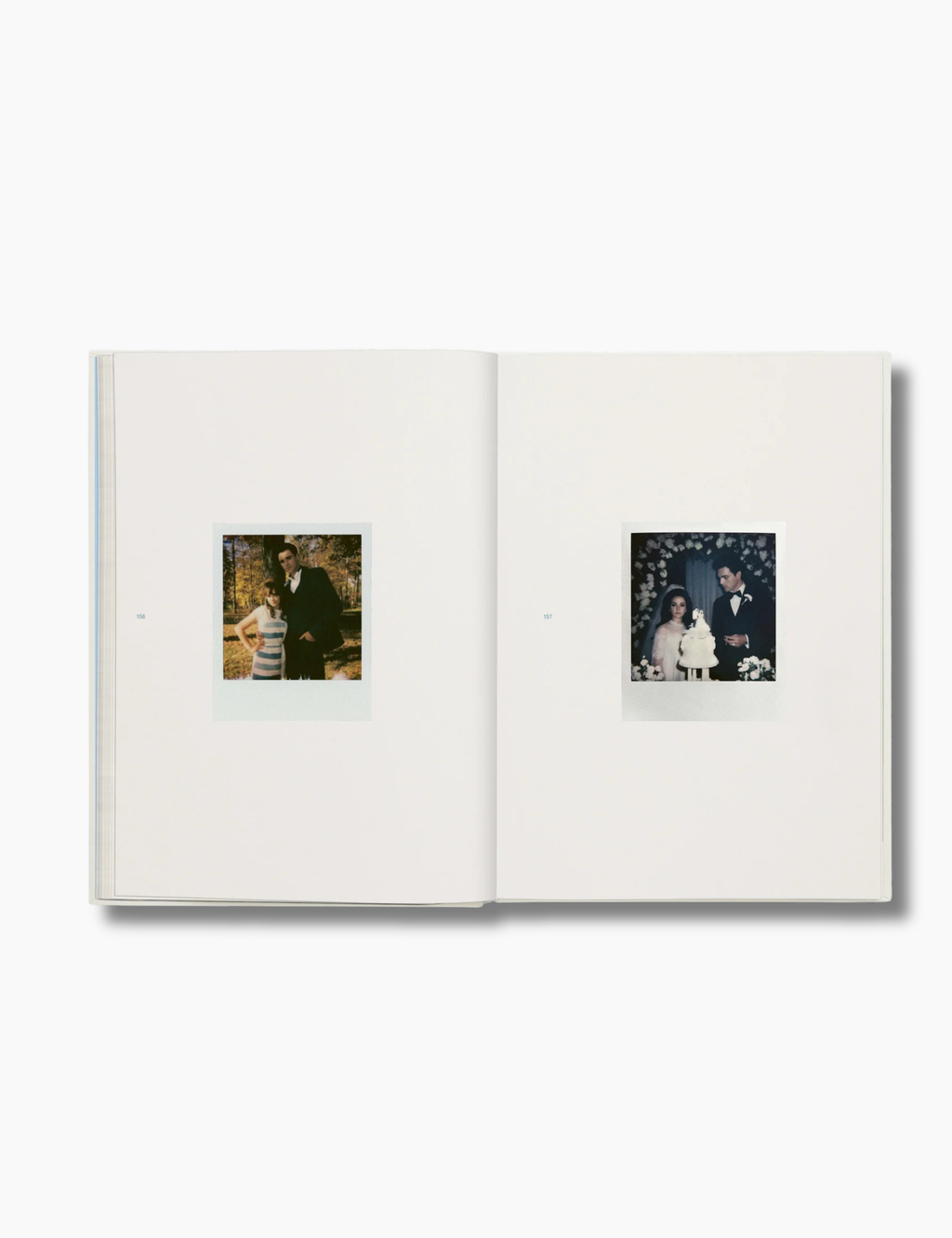 Priscilla Screenplay Book