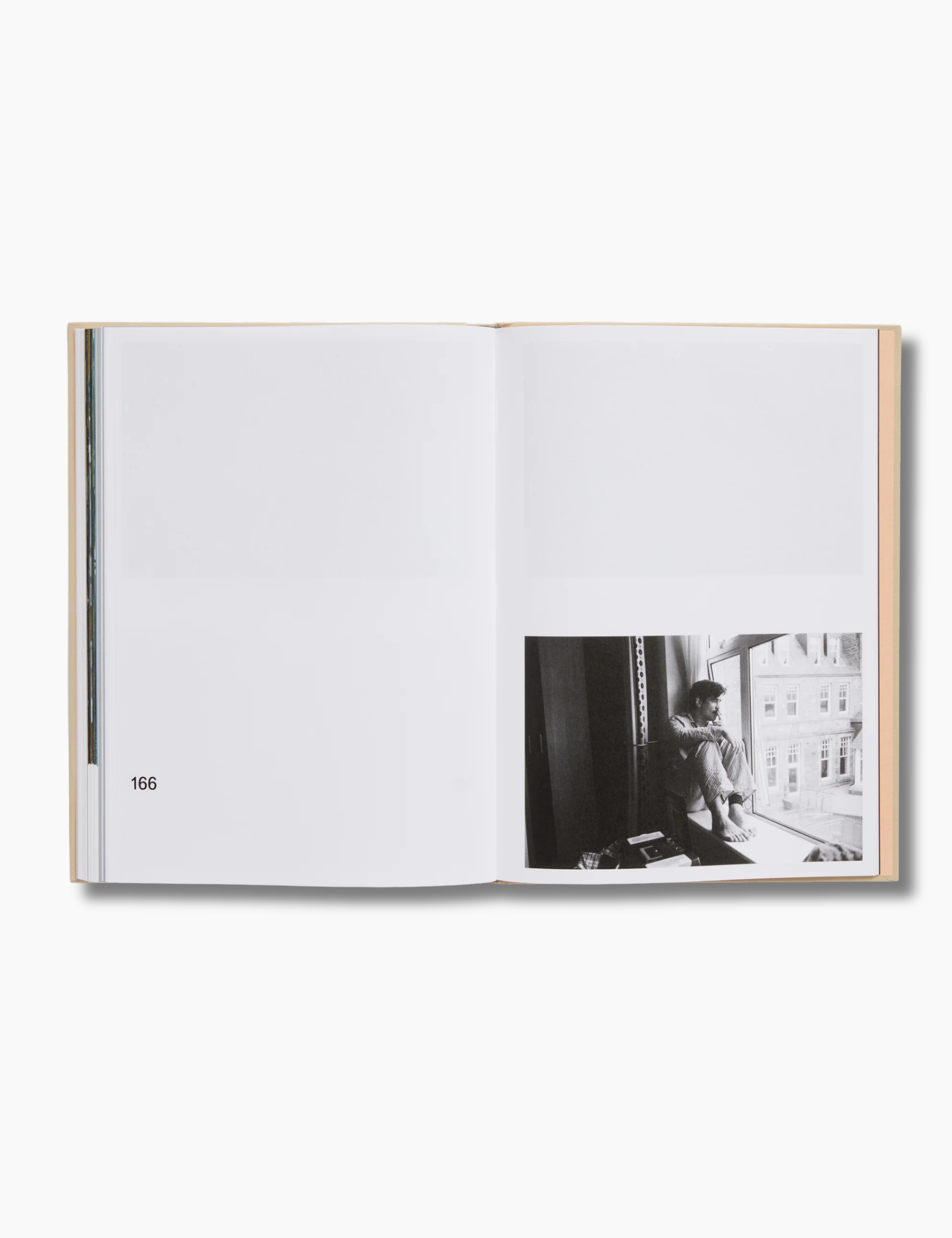 The Lobster Screenplay Book