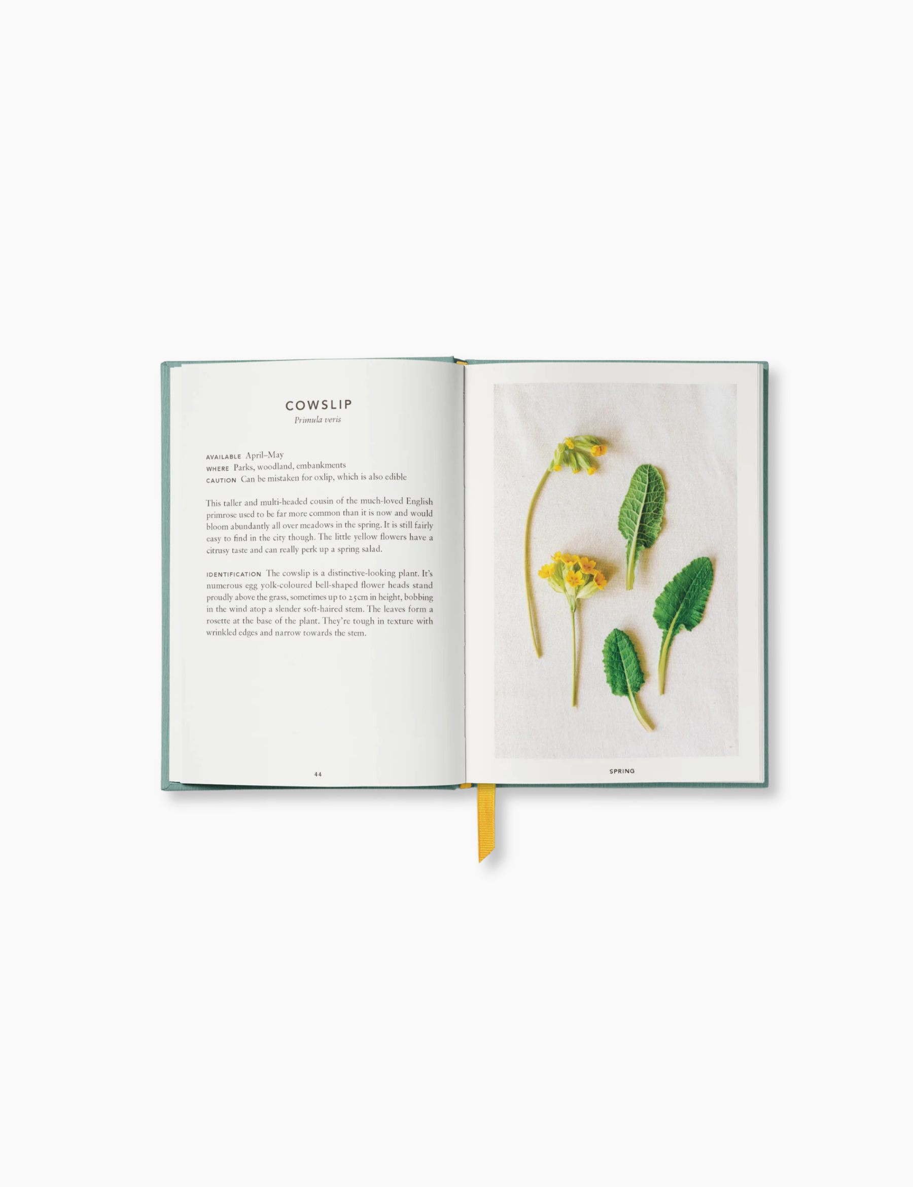 The Urban Forager