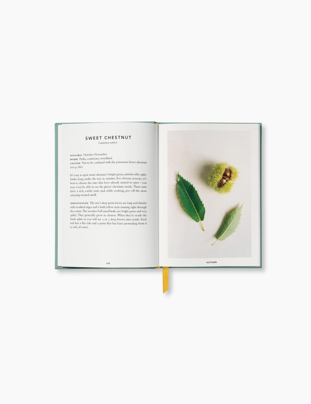 The Urban Forager