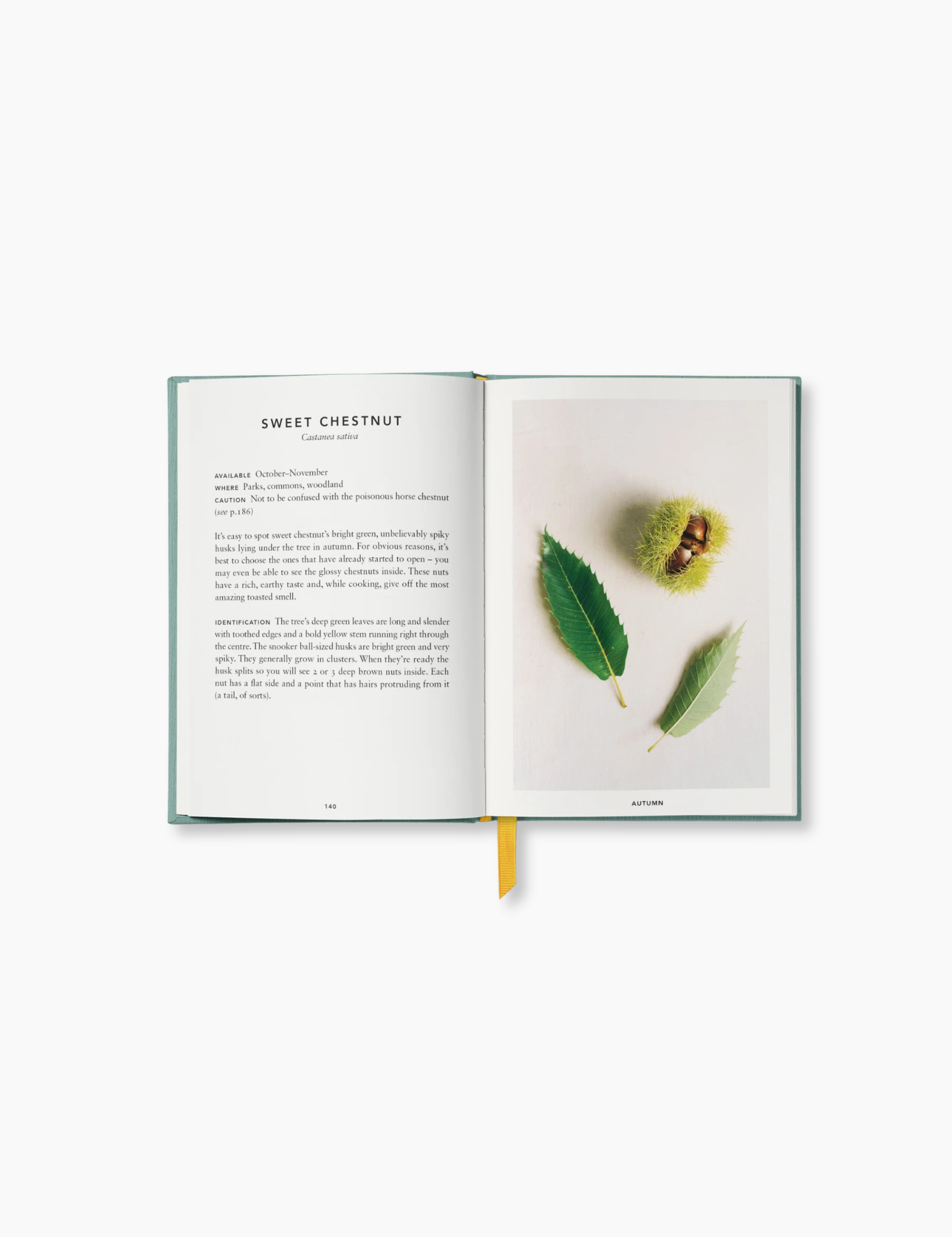The Urban Forager