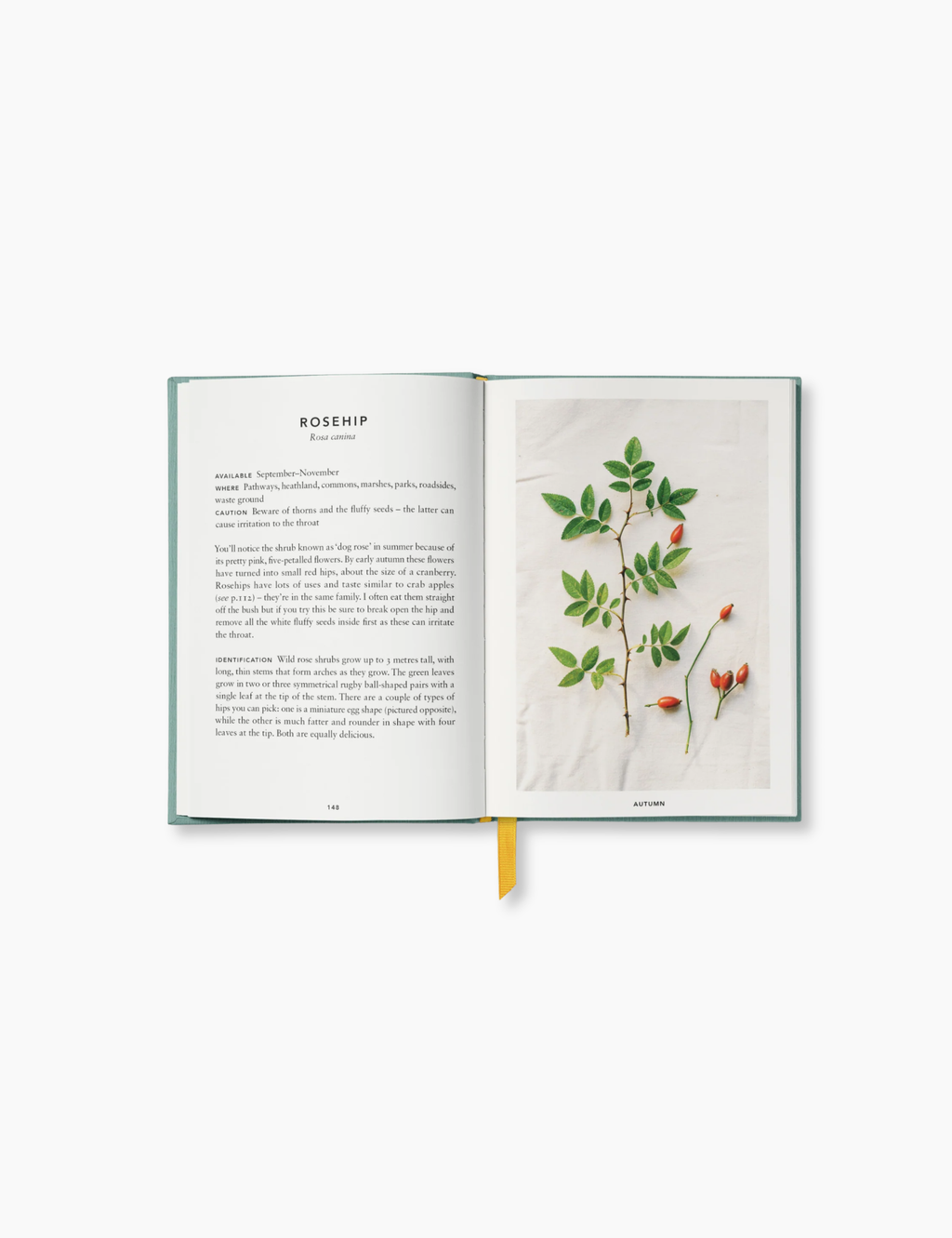 The Urban Forager